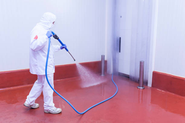 Paint Preparation in Belmar, NJ